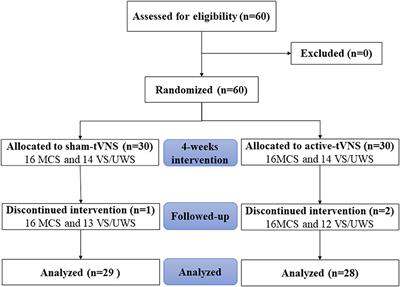 Transauricular vagus nerve stimulation for patients with disorders of consciousness: A randomized controlled clinical trial